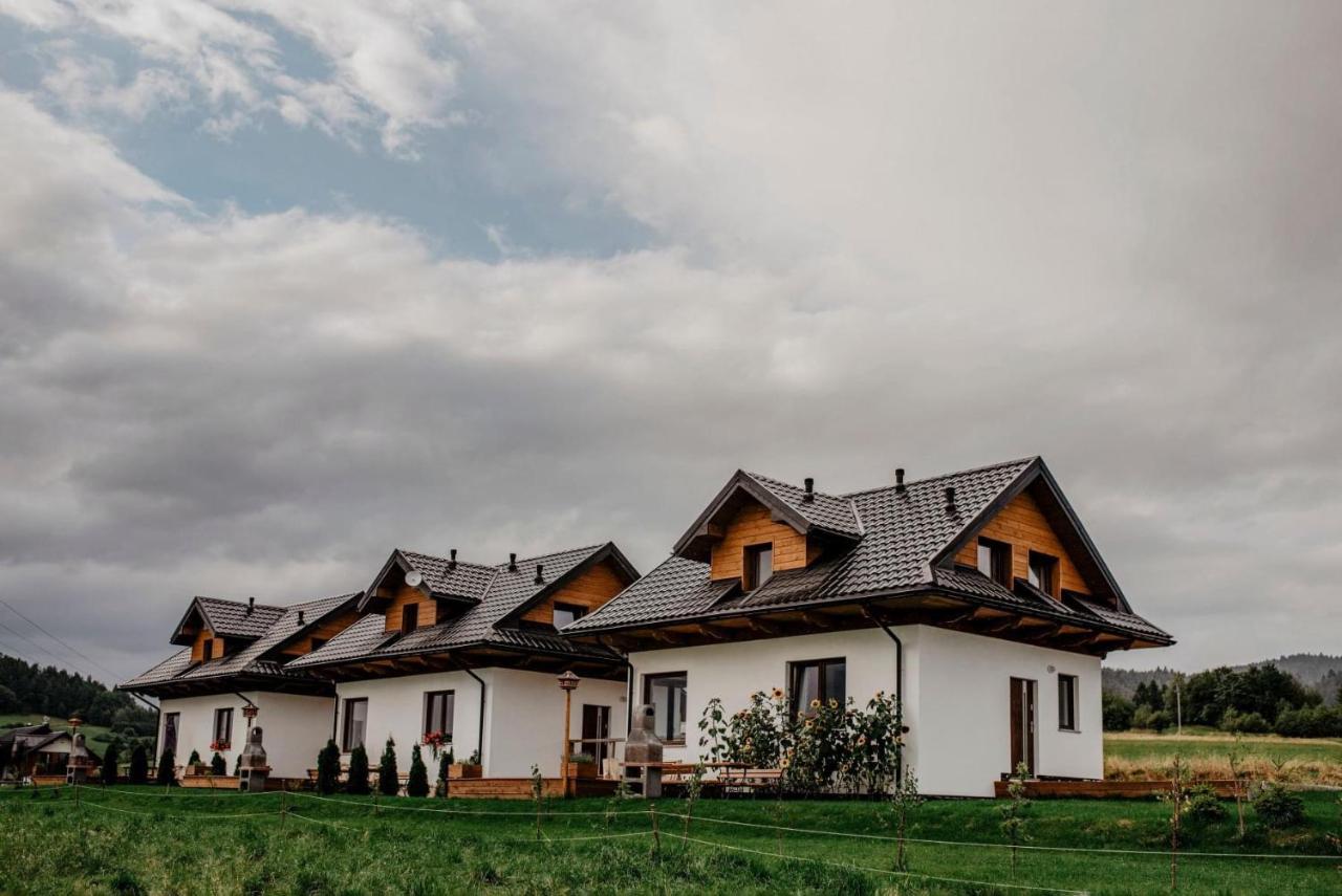 Domki Pod Wulkanem Krosnica  Dış mekan fotoğraf